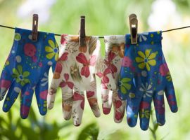 Schoeisel en handschoenen